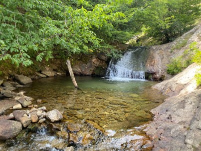 7BD876E7-D12D-49EB-AC17-19ADB29121EE